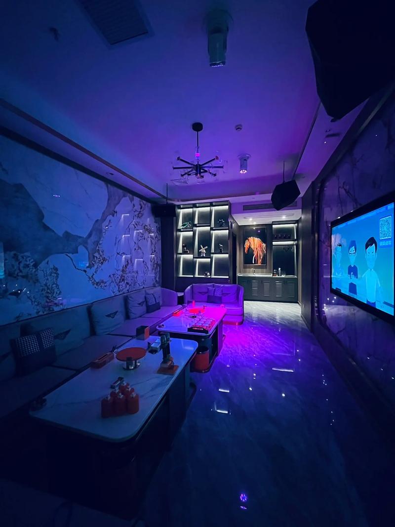 池州商务ktv低端场氛围-石台县ktv预定